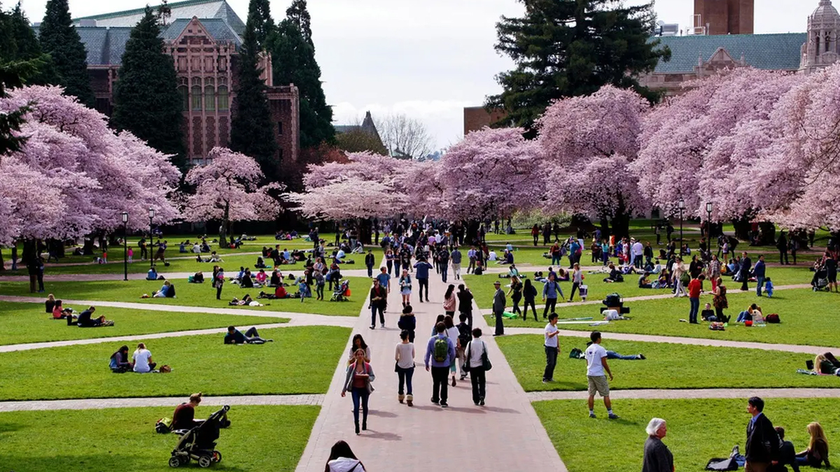 Top 10 Colleges In Washington State Dairacademy